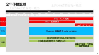 TCL数字营销传播 产品内容营销策略与DH营销咨询实战解析